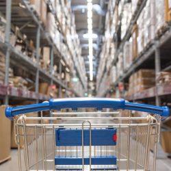 An empty cart is shown in a Costco store