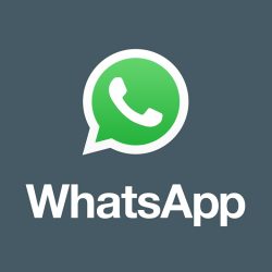 WhatsApp support